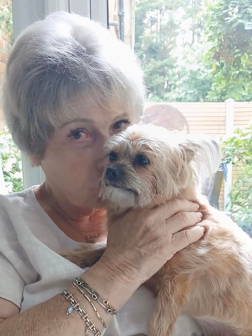 A relaxed meet and greet with a small dog